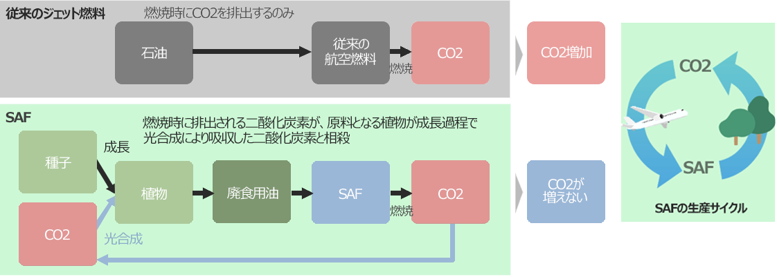 SAFは従来の航空燃料と比較して約80%のCO2排出量削減効果があるとされている