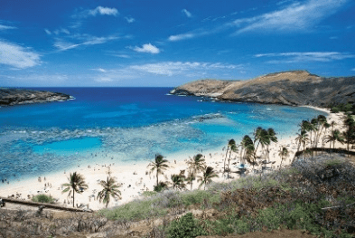 ＜community＞Hanauma Bay where the water quality has improved due to the introduction of a reservation system