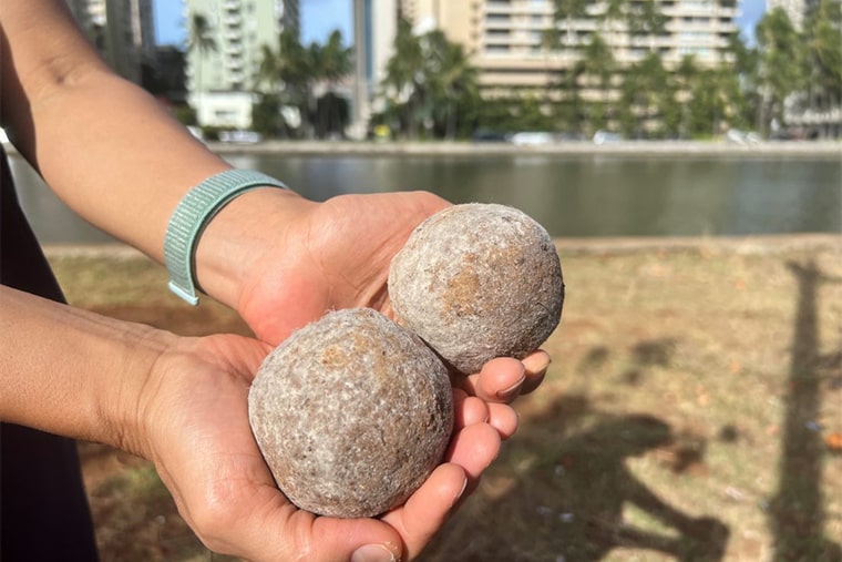 Genki Balls thrown into the canal